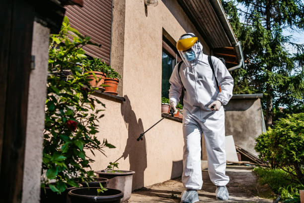 Best Ant Control Services  in Borden, IN
