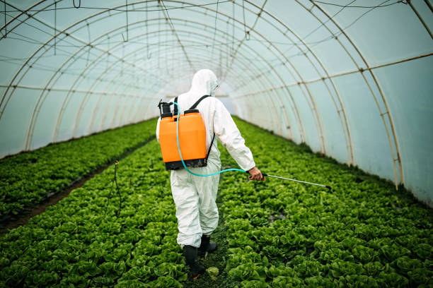 Best Pest Removal Services  in Borden, IN