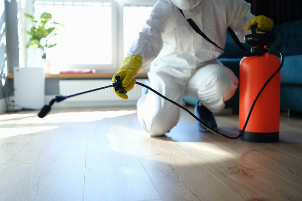 Best Affordable Pest Control Services  in Borden, IN