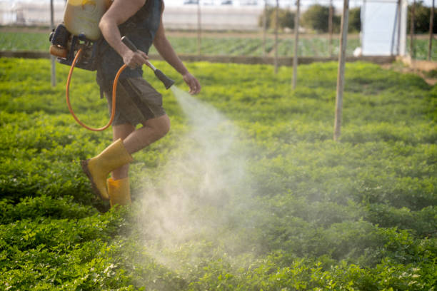 Best Best Pest Control Companies  in Borden, IN