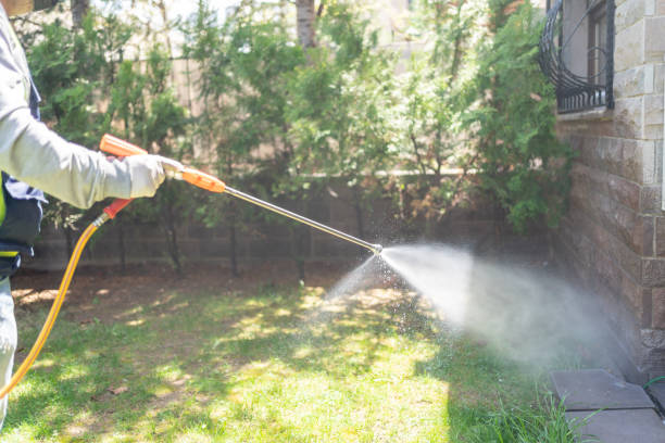 Reliable Borden, IN Pest Control Solutions