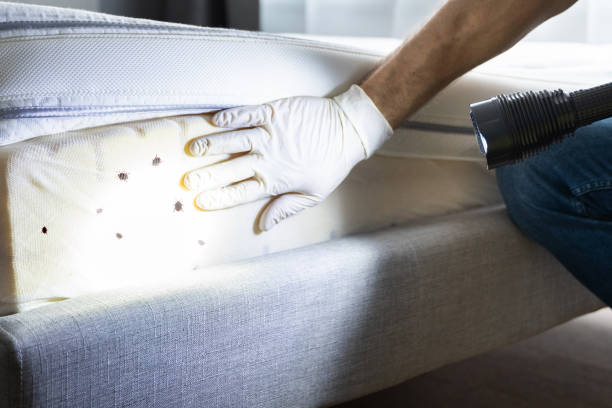 Best Commercial Pest Control Services  in Borden, IN