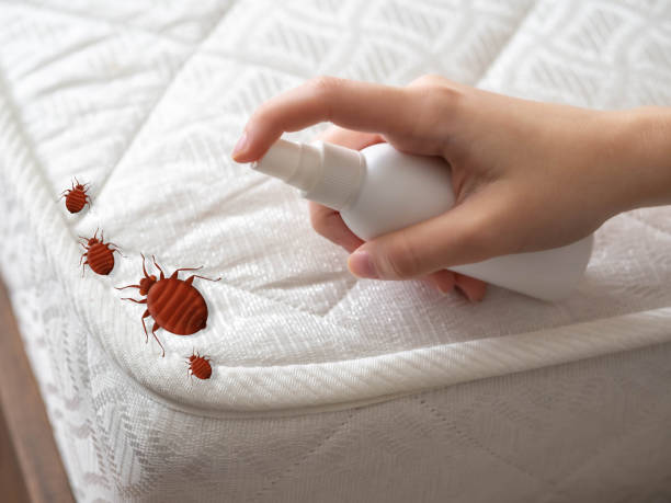Best Ant Control Services  in Borden, IN