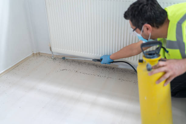 Wasp Removal Services in Borden, IN