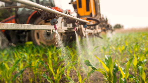 Professional Pest Control in Borden, IN